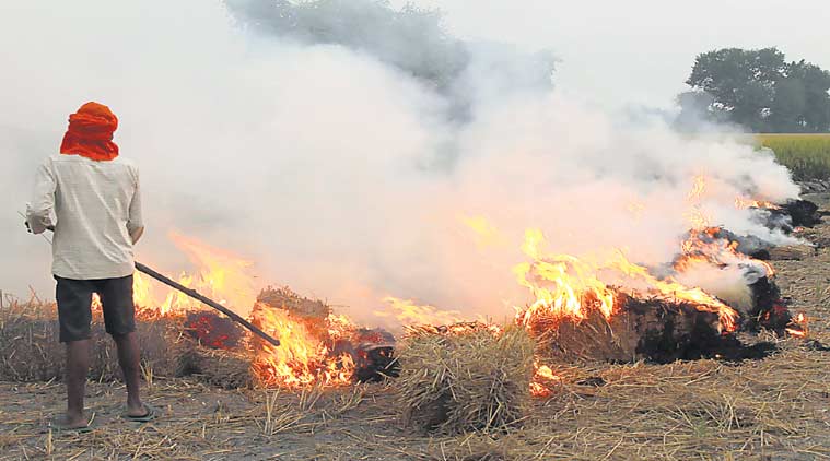 Agricultural pollution