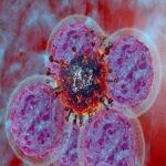 ਪੰਜਾਬ ‘ਚ ਕੈਂਸਰ ਦਾ ਕਹਿਰ, ਰੋਜ਼ਾਨਾ ਹੋ ਰਹੀਆਂ 68 ਮੌਤਾਂ, ਸਿਹਤ ਮੰਤਰਾਲੇ ਦੇ ਡਰਾਉਂਣੇ ਅੰਕੜੇ… | ਪੰਜਾਬ ਖ਼ਬਰਾਂ ਪੰਜਾਬ 'ਚ ਕੈਂਸਰ ਦਾ ਕਹਿਰ, ਰੋਜ਼ਾਨਾ ਹੋ ਰਹੀਆਂ 68 ਮੌਤਾਂ, ਸਿਹਤ ਮੰਤਰਾਲੇ ਦੇ ਡਰਾਉਂਣੇ ਅੰਕੜੇ... | ਪੰਜਾਬ ਖ਼ਬਰਾਂ