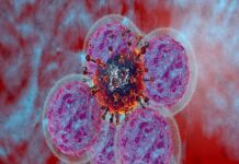 ਪੰਜਾਬ ‘ਚ ਕੈਂਸਰ ਦਾ ਕਹਿਰ, ਰੋਜ਼ਾਨਾ ਹੋ ਰਹੀਆਂ 68 ਮੌਤਾਂ, ਸਿਹਤ ਮੰਤਰਾਲੇ ਦੇ ਡਰਾਉਂਣੇ ਅੰਕੜੇ… | ਪੰਜਾਬ ਖ਼ਬਰਾਂ ਪੰਜਾਬ 'ਚ ਕੈਂਸਰ ਦਾ ਕਹਿਰ, ਰੋਜ਼ਾਨਾ ਹੋ ਰਹੀਆਂ 68 ਮੌਤਾਂ, ਸਿਹਤ ਮੰਤਰਾਲੇ ਦੇ ਡਰਾਉਂਣੇ ਅੰਕੜੇ... | ਪੰਜਾਬ ਖ਼ਬਰਾਂ