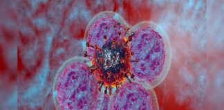 ਪੰਜਾਬ ‘ਚ ਕੈਂਸਰ ਦਾ ਕਹਿਰ, ਰੋਜ਼ਾਨਾ ਹੋ ਰਹੀਆਂ 68 ਮੌਤਾਂ, ਸਿਹਤ ਮੰਤਰਾਲੇ ਦੇ ਡਰਾਉਂਣੇ ਅੰਕੜੇ… | ਪੰਜਾਬ ਖ਼ਬਰਾਂ ਪੰਜਾਬ 'ਚ ਕੈਂਸਰ ਦਾ ਕਹਿਰ, ਰੋਜ਼ਾਨਾ ਹੋ ਰਹੀਆਂ 68 ਮੌਤਾਂ, ਸਿਹਤ ਮੰਤਰਾਲੇ ਦੇ ਡਰਾਉਂਣੇ ਅੰਕੜੇ... | ਪੰਜਾਬ ਖ਼ਬਰਾਂ