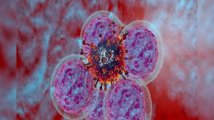 ਪੰਜਾਬ 'ਚ ਕੈਂਸਰ ਦਾ ਕਹਿਰ, ਰੋਜ਼ਾਨਾ ਹੋ ਰਹੀਆਂ 68 ਮੌਤਾਂ, ਸਿਹਤ ਮੰਤਰਾਲੇ ਦੇ ਡਰਾਉਂਣੇ ਅੰਕੜੇ... | ਪੰਜਾਬ ਖ਼ਬਰਾਂ