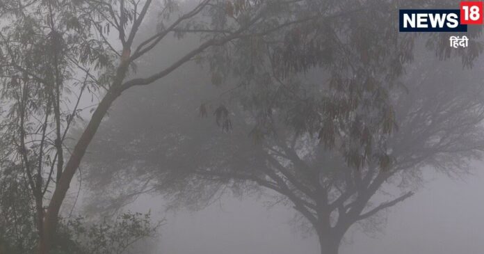 Weather Today: ਪੰਜਾਬ ਦੇ 8 ਜ਼ਿਲ੍ਹਿਆਂ ਲਈ ਅਲਰਟ, ਤੇਜ਼ ਹਵਾਵਾਂ, ਭਾਰੀ ਮੀਂਹ... | ਪੰਜਾਬ ਖ਼ਬਰਾਂ