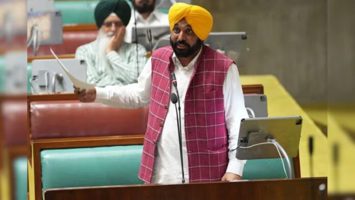 ਭਾਰਤ-ਅਮਰੀਕਾ ਟ੍ਰੇਡ ਡੀਲ ਤਿੰਨ ਕਾਲੇ ਖੇਤੀ ਕਾਨੂੰਨਾਂ ਨਾਲੋਂ ਵੀ ਖ਼ਤਰਨਾਕ : CM ਭਗਵੰਤ ਮਾਨ | ਪੰਜਾਬ ਖ਼ਬਰਾਂ