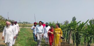 ਪੰਜਾਬ – ਨਾਬਾਰਡ ਵੱਲੋਂ ਵਿੱਤਪੋਸ਼ਿਤ ਪ੍ਰੋਜੈਕਟ ਦੇ ਤਹਿਤ ਕਿਸਾਨਾਂ ਦਾ ਇੱਕ ਐਕਸਪੋਜ਼ਰ ਦੌਰਾ ਪੰਜਾਬ - ਨਾਬਾਰਡ ਵੱਲੋਂ ਵਿੱਤਪੋਸ਼ਿਤ ਪ੍ਰੋਜੈਕਟ ਦੇ ਤਹਿਤ ਕਿਸਾਨਾਂ ਦਾ ਇੱਕ ਐਕਸਪੋਜ਼ਰ ਦੌਰਾ