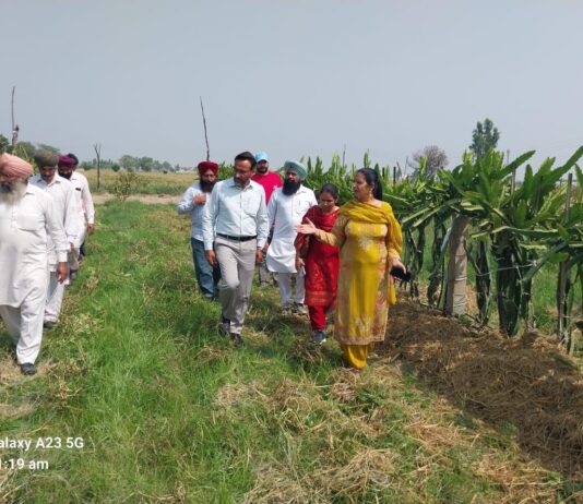 เจชเฉฐเจเจพเจฌ – เจจเจพเจฌเจพเจฐเจก เจตเฉฑเจฒเฉเจ เจตเจฟเฉฑเจคเจชเฉเจธเจผเจฟเจค เจชเฉเจฐเฉเจเฉเจเจ เจฆเฉ เจคเจนเจฟเจค เจเจฟเจธเจพเจจเจพเจ เจฆเจพ เจเฉฑเจ เจเจเจธเจชเฉเจเจผเจฐ เจฆเฉเจฐเจพ เจชเฉฐเจเจพเจฌ - เจจเจพเจฌเจพเจฐเจก เจตเฉฑเจฒเฉเจ เจตเจฟเฉฑเจคเจชเฉเจธเจผเจฟเจค เจชเฉเจฐเฉเจเฉเจเจ เจฆเฉ เจคเจนเจฟเจค เจเจฟเจธเจพเจจเจพเจ เจฆเจพ เจเฉฑเจ เจเจเจธเจชเฉเจเจผเจฐ เจฆเฉเจฐเจพ