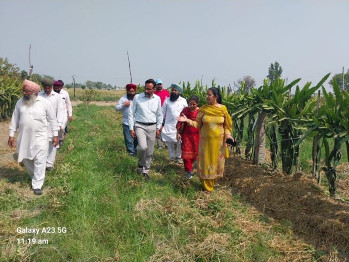 ਪੰਜਾਬ - ਨਾਬਾਰਡ ਵੱਲੋਂ ਵਿੱਤਪੋਸ਼ਿਤ ਪ੍ਰੋਜੈਕਟ ਦੇ ਤਹਿਤ ਕਿਸਾਨਾਂ ਦਾ ਇੱਕ ਐਕਸਪੋਜ਼ਰ ਦੌਰਾ