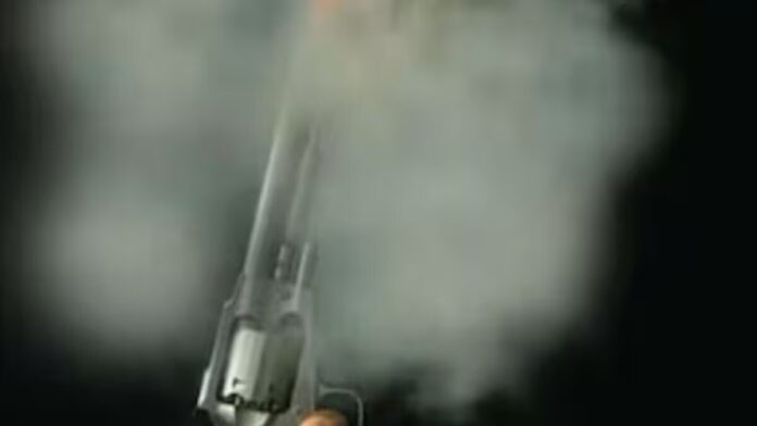 ਪੰਜਾਬ: ਦਿਨ-ਦਿਹਾੜੇ ਸਰਪੰਚ ਦੇ ਭਰਾ ਨੂੰ ਮਾਰੀਆਂ ਗੋਲੀਆਂ... | ਪੰਜਾਬ ਖ਼ਬਰਾਂ