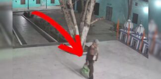 nawanshahr theft suspect dies after jumping from building punjab crime news hs | nawanshahr theft suspect dies after jumping from building punjab crime news hs |