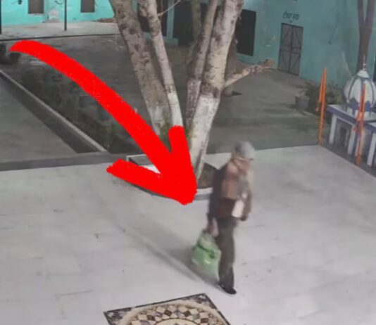 nawanshahr theft suspect dies after jumping from building punjab crime news hs | nawanshahr theft suspect dies after jumping from building punjab crime news hs |