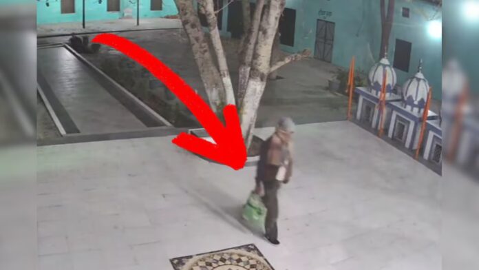 nawanshahr theft suspect dies after jumping from building punjab crime news hs |