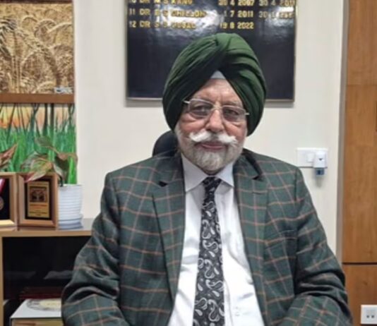 pau pr 133 paddy variety punjab farmers yield water saving details hs | ਲੁਧਿਆਣਾ ਖ਼ਬਰਾਂ (Ludhiana News) pau pr 133 paddy variety punjab farmers yield water saving details hs | ਲੁਧਿਆਣਾ ਖ਼ਬਰਾਂ (Ludhiana News)