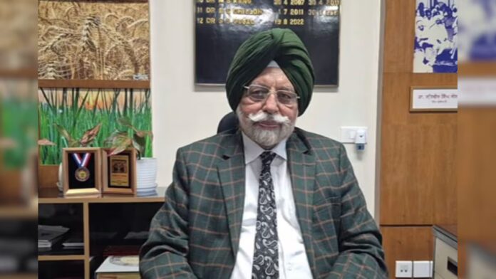 pau pr 133 paddy variety punjab farmers yield water saving details hs | ਲੁਧਿਆਣਾ ਖ਼ਬਰਾਂ (Ludhiana News)