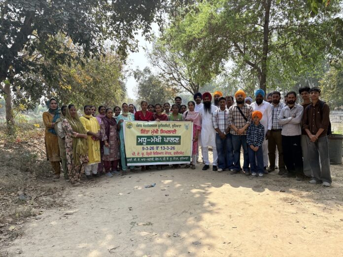 ਕਿ੍ਸ਼ੀ ਵਿਗਿਆਨ ਕੇਂਦਰ ਫਰੀਦਕੋਟ ਨੇ ਮਧੂ-ਮੱਖੀ ਪਾਲਣ ਦਾ ਸਿਖਲਾਈ ਕੋਰਸ ਲਗਾਇਆ