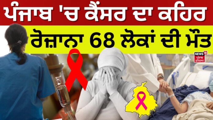 Cancer Cases in Punjab | ਪੰਜਾਬ 'ਚ ਕੈਂਸਰ ਦਾ ਕਹਿਰ, ਰੋਜ਼ਾਨਾ 68 ਲੋਕਾਂ ਦੀ ਹੋ ਰਹੀ ਮੌਤ