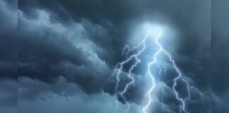 ਮੀਂਹ ਕਾਰਨ ਫਸਲਾਂ ਦੇ ਹੋਏ ਨੁਕਸਾਨ ਦੀ ਗਿਰਦਾਵਰੀ ਦੇ ਹੁਕਮ… | ਪੰਜਾਬ ਖ਼ਬਰਾਂ weather update march heatwave rainfall imd warning temperature forecast delhi ncr up bihar mp rajasthan mausam Weather Update- 7 ਸੂਬਿਆਂ ਵਿਚ ਅੱਜ ਭਾਰੀ ਮੀਂਹ; IMD ਨੇ ਜਾਰੀ ਕੀਤੀ ਵੱਡੀ ਚਿਤਾਵਨੀ... | ਰਾਸ਼ਟਰੀ ਖਬਰਾਂ