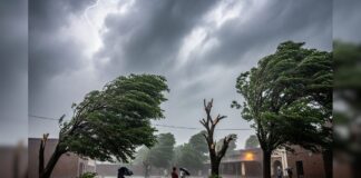 Punjab Weather News:ਪਰਸੋਂ 26 ਤਾਰੀਖ਼ ਤੋਂ ਮੁੜ ਬਦਲੇਗਾ ਪੰਜਾਬ ਵਿਚ ਮੌਸਮ, IMD ਵੱਲੋਂ ਗਰਜ-ਤੂਫਾਨ, ਤੇਜ਼ ਹਵਾਵਾਂ ਤੇ ਮੀਂਹ ਦਾ ਅਲਰਟ | Punjab Weather News: Weather in Punjab will change again from tomorrow 26th, IMD warns of thunderstorms, strong winds and rain | ਪੰਜਾਬ ਖ਼ਬਰਾਂ Punjab Weather News:ਪਰਸੋਂ 26 ਤਾਰੀਖ਼ ਤੋਂ ਮੁੜ ਬਦਲੇਗਾ ਪੰਜਾਬ ਵਿਚ ਮੌਸਮ, IMD ਵੱਲੋਂ ਗਰਜ-ਤੂਫਾਨ, ਤੇਜ਼ ਹਵਾਵਾਂ ਤੇ ਮੀਂਹ ਦਾ ਅਲਰਟ | Punjab Weather News: Weather in Punjab will change again from tomorrow 26th, IMD warns of thunderstorms, strong winds and rain | ਪੰਜਾਬ ਖ਼ਬਰਾਂ