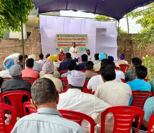 ਕਿਸਾਨ ਪੈਦਾਵਾਰ ਤੋਂ ਪੋਸ਼ਣ ਵੱਲ: ਕਣਕ ਦੀਆਂ ਵੱਧ ਪੋਸ਼ਕ ਤੱਤਾਂ ਵਾਲੀਆਂ ਕਿਸਮਾਂ ਸੰਬੰਧੀ ਖੇਤ ਦਿਵਸ ਦਾ ਆਯੋਜਨ ਕਿਸਾਨ ਪੈਦਾਵਾਰ ਤੋਂ ਪੋਸ਼ਣ ਵੱਲ: ਕਣਕ ਦੀਆਂ ਵੱਧ ਪੋਸ਼ਕ ਤੱਤਾਂ ਵਾਲੀਆਂ ਕਿਸਮਾਂ ਸੰਬੰਧੀ ਖੇਤ ਦਿਵਸ ਦਾ ਆਯੋਜਨ