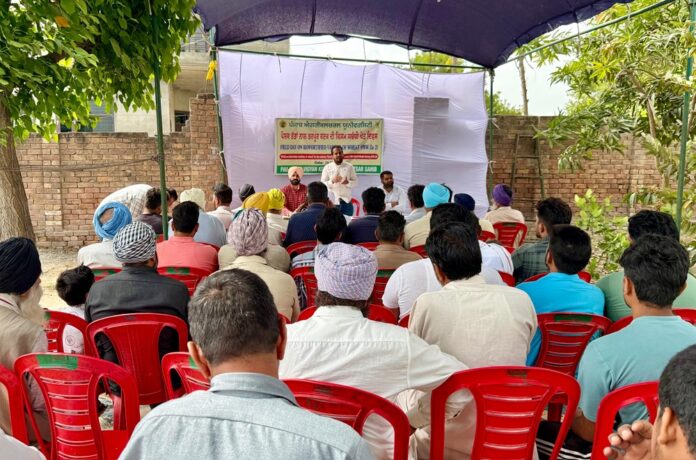 ਕਿਸਾਨ ਪੈਦਾਵਾਰ ਤੋਂ ਪੋਸ਼ਣ ਵੱਲ: ਕਣਕ ਦੀਆਂ ਵੱਧ ਪੋਸ਼ਕ ਤੱਤਾਂ ਵਾਲੀਆਂ ਕਿਸਮਾਂ ਸੰਬੰਧੀ ਖੇਤ ਦਿਵਸ ਦਾ ਆਯੋਜਨ