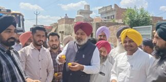 ਪੰਜਾਬ ਸਰਕਾਰ ਨੇ ਸੜਕਾਂ ਦੀ ਕਾਇਆ ਕਲਪ ਕਰ ਕੇ ਖੋਲ੍ਹੇ ਤਰੱਕੀ ਦੇ ਰਾਹ: ਹਰਪਾਲ ਸਿੰਘ ਚੀਮਾ ਪੰਜਾਬ ਸਰਕਾਰ ਨੇ ਸੜਕਾਂ ਦੀ ਕਾਇਆ ਕਲਪ ਕਰ ਕੇ ਖੋਲ੍ਹੇ ਤਰੱਕੀ ਦੇ ਰਾਹ: ਹਰਪਾਲ ਸਿੰਘ ਚੀਮਾ