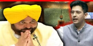 cm bhagwant mann targets raghav chadha aap rajya sabha leadership change hs | cm bhagwant mann targets raghav chadha aap rajya sabha leadership change hs |