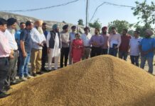 ਪੰਜਾਬ ਸਰਕਾਰ ਕਣਕ ਦਾ ਇਕ-ਇਕ ਦਾਣਾ ਖਰੀਦਣ ਲਈ ਵਚਨਬੱਧ : ਹਲਕਾ ਵਿਧਾਇਕ ਬਲਕਾਰ ਸਿੰਘ ਪੰਜਾਬ ਸਰਕਾਰ ਕਣਕ ਦਾ ਇਕ-ਇਕ ਦਾਣਾ ਖਰੀਦਣ ਲਈ ਵਚਨਬੱਧ : ਹਲਕਾ ਵਿਧਾਇਕ ਬਲਕਾਰ ਸਿੰਘ