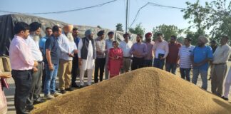 ਪੰਜਾਬ ਸਰਕਾਰ ਕਣਕ ਦਾ ਇਕ-ਇਕ ਦਾਣਾ ਖਰੀਦਣ ਲਈ ਵਚਨਬੱਧ : ਹਲਕਾ ਵਿਧਾਇਕ ਬਲਕਾਰ ਸਿੰਘ ਪੰਜਾਬ ਸਰਕਾਰ ਕਣਕ ਦਾ ਇਕ-ਇਕ ਦਾਣਾ ਖਰੀਦਣ ਲਈ ਵਚਨਬੱਧ : ਹਲਕਾ ਵਿਧਾਇਕ ਬਲਕਾਰ ਸਿੰਘ