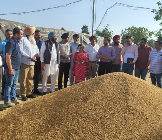 ਪੰਜਾਬ ਸਰਕਾਰ ਕਣਕ ਦਾ ਇਕ-ਇਕ ਦਾਣਾ ਖਰੀਦਣ ਲਈ ਵਚਨਬੱਧ : ਹਲਕਾ ਵਿਧਾਇਕ ਬਲਕਾਰ ਸਿੰਘ ਪੰਜਾਬ ਸਰਕਾਰ ਕਣਕ ਦਾ ਇਕ-ਇਕ ਦਾਣਾ ਖਰੀਦਣ ਲਈ ਵਚਨਬੱਧ : ਹਲਕਾ ਵਿਧਾਇਕ ਬਲਕਾਰ ਸਿੰਘ