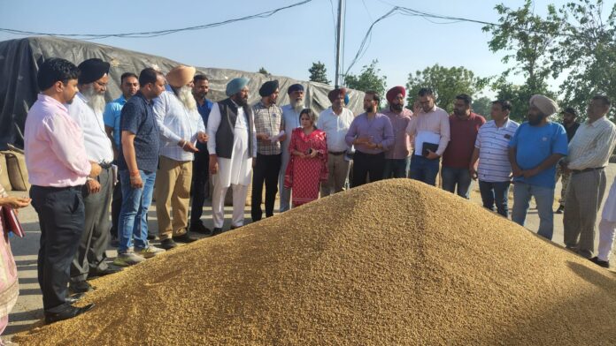 ਪੰਜਾਬ ਸਰਕਾਰ ਕਣਕ ਦਾ ਇਕ-ਇਕ ਦਾਣਾ ਖਰੀਦਣ ਲਈ ਵਚਨਬੱਧ : ਹਲਕਾ ਵਿਧਾਇਕ ਬਲਕਾਰ ਸਿੰਘ