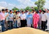 ਵਿਧਾਇਕ ਸ੍ਰੀਮਤੀ ਨਰਿੰਦਰ ਕੌਰ ਭਰਾਜ ਨੇ ਅਨਾਜ ਮੰਡੀ ਭਵਾਨੀਗੜ੍ਹ ਵਿਖੇ ਕਣਕ ਦੀ ਖਰੀਦ ਕਰਵਾਈ ਸ਼ੁਰੂ ਵਿਧਾਇਕ ਸ੍ਰੀਮਤੀ ਨਰਿੰਦਰ ਕੌਰ ਭਰਾਜ ਨੇ ਅਨਾਜ ਮੰਡੀ ਭਵਾਨੀਗੜ੍ਹ ਵਿਖੇ ਕਣਕ ਦੀ ਖਰੀਦ ਕਰਵਾਈ ਸ਼ੁਰੂ