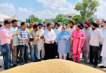 ਵਿਧਾਇਕ ਸ੍ਰੀਮਤੀ ਨਰਿੰਦਰ ਕੌਰ ਭਰਾਜ ਨੇ ਅਨਾਜ ਮੰਡੀ ਭਵਾਨੀਗੜ੍ਹ ਵਿਖੇ ਕਣਕ ਦੀ ਖਰੀਦ ਕਰਵਾਈ ਸ਼ੁਰੂ ਵਿਧਾਇਕ ਸ੍ਰੀਮਤੀ ਨਰਿੰਦਰ ਕੌਰ ਭਰਾਜ ਨੇ ਅਨਾਜ ਮੰਡੀ ਭਵਾਨੀਗੜ੍ਹ ਵਿਖੇ ਕਣਕ ਦੀ ਖਰੀਦ ਕਰਵਾਈ ਸ਼ੁਰੂ