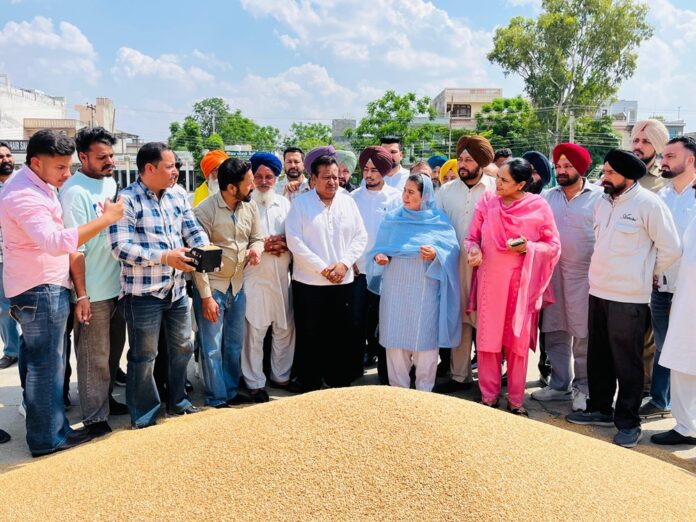 ਵਿਧਾਇਕ ਸ੍ਰੀਮਤੀ ਨਰਿੰਦਰ ਕੌਰ ਭਰਾਜ ਨੇ ਅਨਾਜ ਮੰਡੀ ਭਵਾਨੀਗੜ੍ਹ ਵਿਖੇ ਕਣਕ ਦੀ ਖਰੀਦ ਕਰਵਾਈ ਸ਼ੁਰੂ