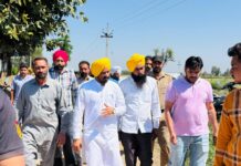 ਹੁਣ ਢਿੱਲਵਾਂ ਦੇ 950 ਏਕੜ ਰਕਬੇ ਨੂੰ ਮਿਲੇਗਾ ਨਹਿਰੀ ਪਾਣੀ: ਲਾਭ ਸਿੰਘ ਉੱਗੋਕੇ ਹੁਣ ਢਿੱਲਵਾਂ ਦੇ 950 ਏਕੜ ਰਕਬੇ ਨੂੰ ਮਿਲੇਗਾ ਨਹਿਰੀ ਪਾਣੀ: ਲਾਭ ਸਿੰਘ ਉੱਗੋਕੇ