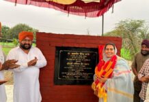 ਵਿਧਾਇਕ ਨਰਿੰਦਰ ਕੌਰ ਭਰਾਜ ਵੱਲੋਂ ਪਿੰਡ ਬਾਲਦ ਕਲਾਂ ਵਿਖੇ ਦੋ ਪਾਰਕ ਲੋਕਾਂ ਨੂੰ ਸਮਰਪਿਤ ਵਿਧਾਇਕ ਨਰਿੰਦਰ ਕੌਰ ਭਰਾਜ ਵੱਲੋਂ ਪਿੰਡ ਬਾਲਦ ਕਲਾਂ ਵਿਖੇ ਦੋ ਪਾਰਕ ਲੋਕਾਂ ਨੂੰ ਸਮਰਪਿਤ