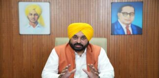 ਭਗਵੰਤ ਮਾਨ ਸਰਕਾਰ ਨੇ ਕਾਇਮ ਕੀਤਾ ਰਿਕਾਰਡ, 4 ਸਾਲਾਂ ‘ਚ ਦਿੱਤੀਆਂ 65,264 ਸਰਕਾਰੀ ਨੌਕਰੀਆਂ, Bhagwant Mann government sets record, provides 65,264 government jobs in 4 years | ਪੰਜਾਬ ਖ਼ਬਰਾਂ ਭਗਵੰਤ ਮਾਨ ਸਰਕਾਰ ਨੇ ਕਾਇਮ ਕੀਤਾ ਰਿਕਾਰਡ, 4 ਸਾਲਾਂ 'ਚ ਦਿੱਤੀਆਂ 65,264 ਸਰਕਾਰੀ ਨੌਕਰੀਆਂ, Bhagwant Mann government sets record, provides 65,264 government jobs in 4 years | ਪੰਜਾਬ ਖ਼ਬਰਾਂ