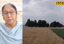 punjab weather update before baisakhi dry weather forecast wheat harvesting relief hs | ਲੁਧਿਆਣਾ ਖ਼ਬਰਾਂ (Ludhiana News) punjab weather update before baisakhi dry weather forecast wheat harvesting relief hs | ਲੁਧਿਆਣਾ ਖ਼ਬਰਾਂ (Ludhiana News)