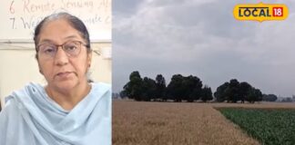 punjab weather update before baisakhi dry weather forecast wheat harvesting relief hs | ਲੁਧਿਆਣਾ ਖ਼ਬਰਾਂ (Ludhiana News) punjab weather update before baisakhi dry weather forecast wheat harvesting relief hs | ਲੁਧਿਆਣਾ ਖ਼ਬਰਾਂ (Ludhiana News)