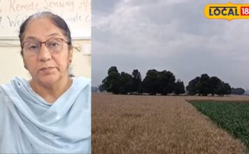 punjab weather update before baisakhi dry weather forecast wheat harvesting relief hs | ਲੁਧਿਆਣਾ ਖ਼ਬਰਾਂ (Ludhiana News) punjab weather update before baisakhi dry weather forecast wheat harvesting relief hs | ਲੁਧਿਆਣਾ ਖ਼ਬਰਾਂ (Ludhiana News)