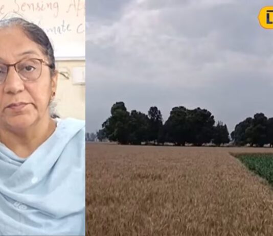 punjab weather update before baisakhi dry weather forecast wheat harvesting relief hs | ਲੁਧਿਆਣਾ ਖ਼ਬਰਾਂ (Ludhiana News) punjab weather update before baisakhi dry weather forecast wheat harvesting relief hs | ਲੁਧਿਆਣਾ ਖ਼ਬਰਾਂ (Ludhiana News)