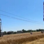 barnala farmer dies due to electric shock from 11000 volt wire negligence alleged | barnala farmer dies due to electric shock from 11000 volt wire negligence alleged |