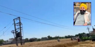 barnala farmer dies due to electric shock from 11000 volt wire negligence alleged | barnala farmer dies due to electric shock from 11000 volt wire negligence alleged |
