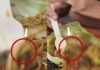 chandigarh mall food court worm found in food complaint food safety department video viral hs | chandigarh mall food court worm found in food complaint food safety department video viral hs |