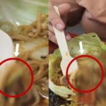 chandigarh mall food court worm found in food complaint food safety department video viral hs | chandigarh mall food court worm found in food complaint food safety department video viral hs |