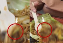 chandigarh mall food court worm found in food complaint food safety department video viral hs | chandigarh mall food court worm found in food complaint food safety department video viral hs |