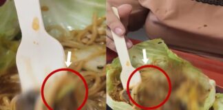 chandigarh mall food court worm found in food complaint food safety department video viral hs | chandigarh mall food court worm found in food complaint food safety department video viral hs |
