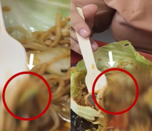 chandigarh mall food court worm found in food complaint food safety department video viral hs | chandigarh mall food court worm found in food complaint food safety department video viral hs |