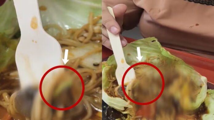 chandigarh mall food court worm found in food complaint food safety department video viral hs |