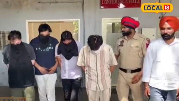 khanna ipl betting racket ed investigation punjab police big expose hs | ਲੁਧਿਆਣਾ ਖ਼ਬਰਾਂ (Ludhiana News)