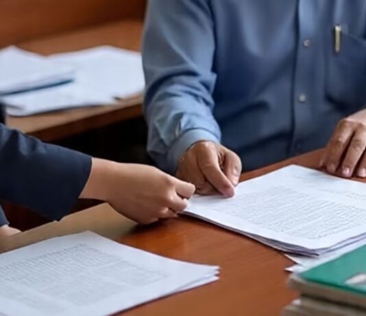 jalandhar election officer order blo supervisors not to be assigned census duty | ਜਲੰਧਰ ਖ਼ਬਰਾਂ (Jalandhar News) jalandhar election officer order blo supervisors not to be assigned census duty | ਜਲੰਧਰ ਖ਼ਬਰਾਂ (Jalandhar News)