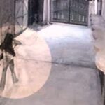 firing outside house in amritsar after extortion demand cctv footage captures incident | ਅੰਮ੍ਰਿਤਸਰ ਖ਼ਬਰਾਂ (Amritsar News) ਮੱਛਰ ਭੱਜ ਜਾਣਗੇ ਦੂਰ, ਜਦੋ ਆਵੇਗੀ ਇਹ ਖੁਸ਼ਬੂ... ਅੱਜ ਹੀ ਬਾਲਕੋਨੀ 'ਚ ਲਗਾਓ ਇਹ 6 ਪੌਦੇ