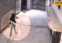 firing outside house in amritsar after extortion demand cctv footage captures incident | ਅੰਮ੍ਰਿਤਸਰ ਖ਼ਬਰਾਂ (Amritsar News) ਮੱਛਰ ਭੱਜ ਜਾਣਗੇ ਦੂਰ, ਜਦੋ ਆਵੇਗੀ ਇਹ ਖੁਸ਼ਬੂ... ਅੱਜ ਹੀ ਬਾਲਕੋਨੀ 'ਚ ਲਗਾਓ ਇਹ 6 ਪੌਦੇ